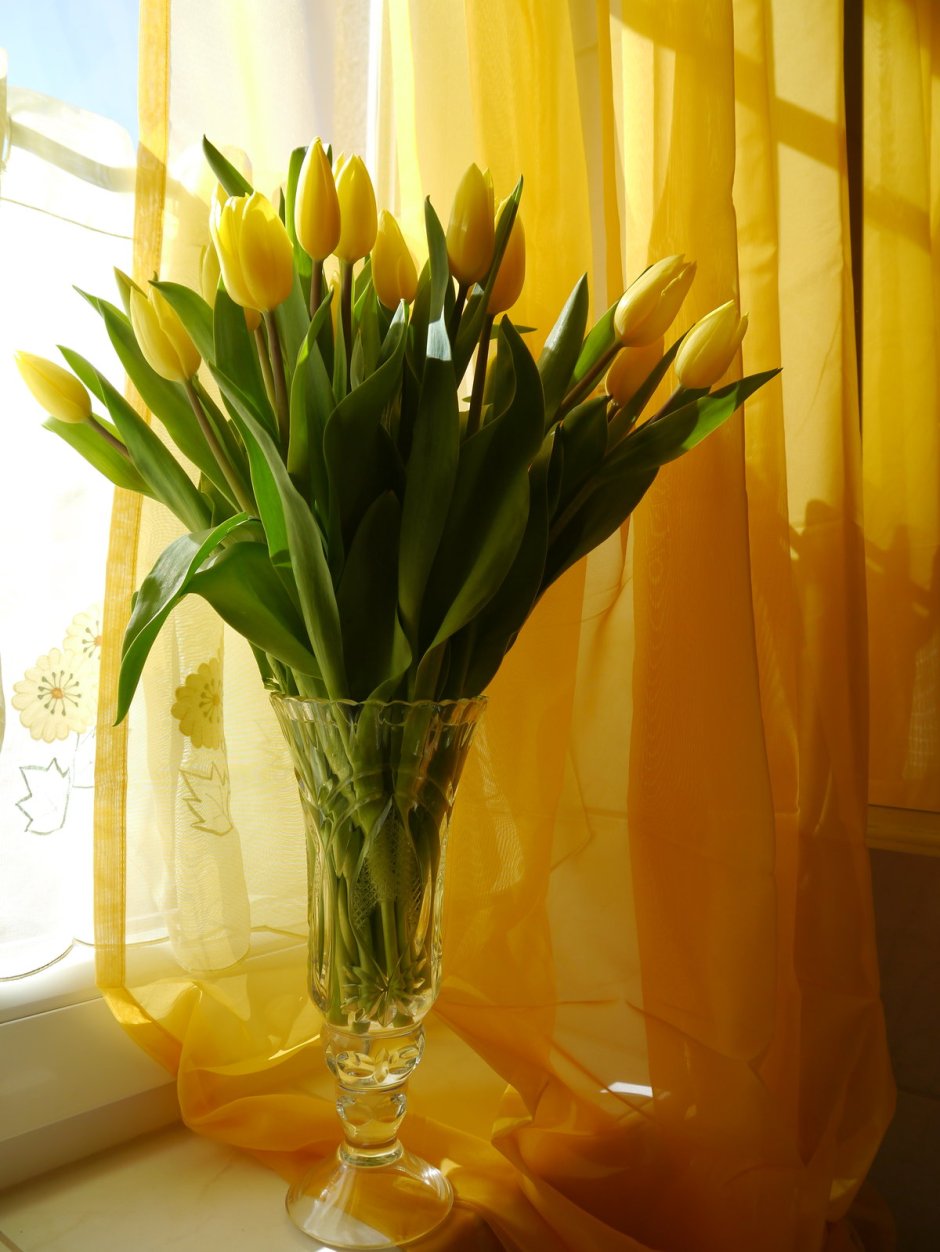 Букет желтых тюльпанов на окне