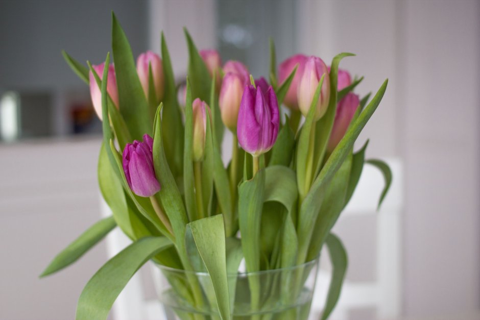 Тюльпаны дома в вазе