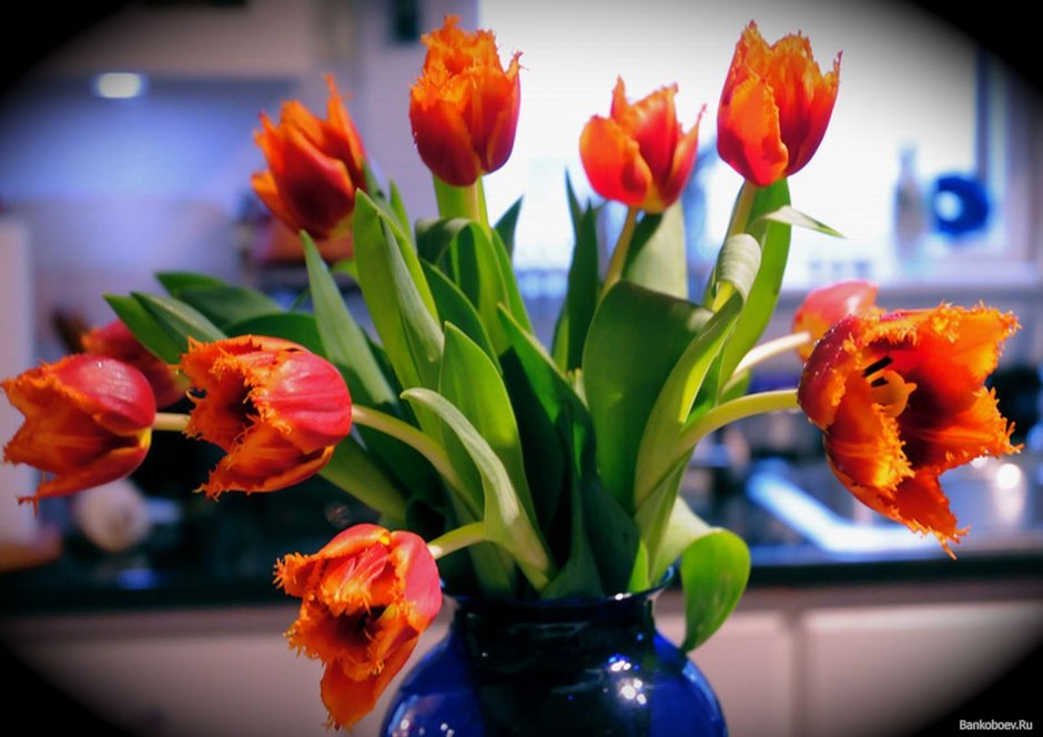 Тюльпаны в вазе 8 марта