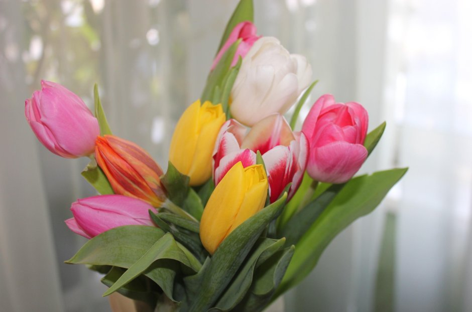 Тюльпаны весенние цветы букеты