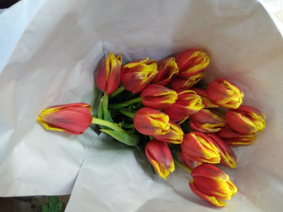 Искусственные тюльпаны
