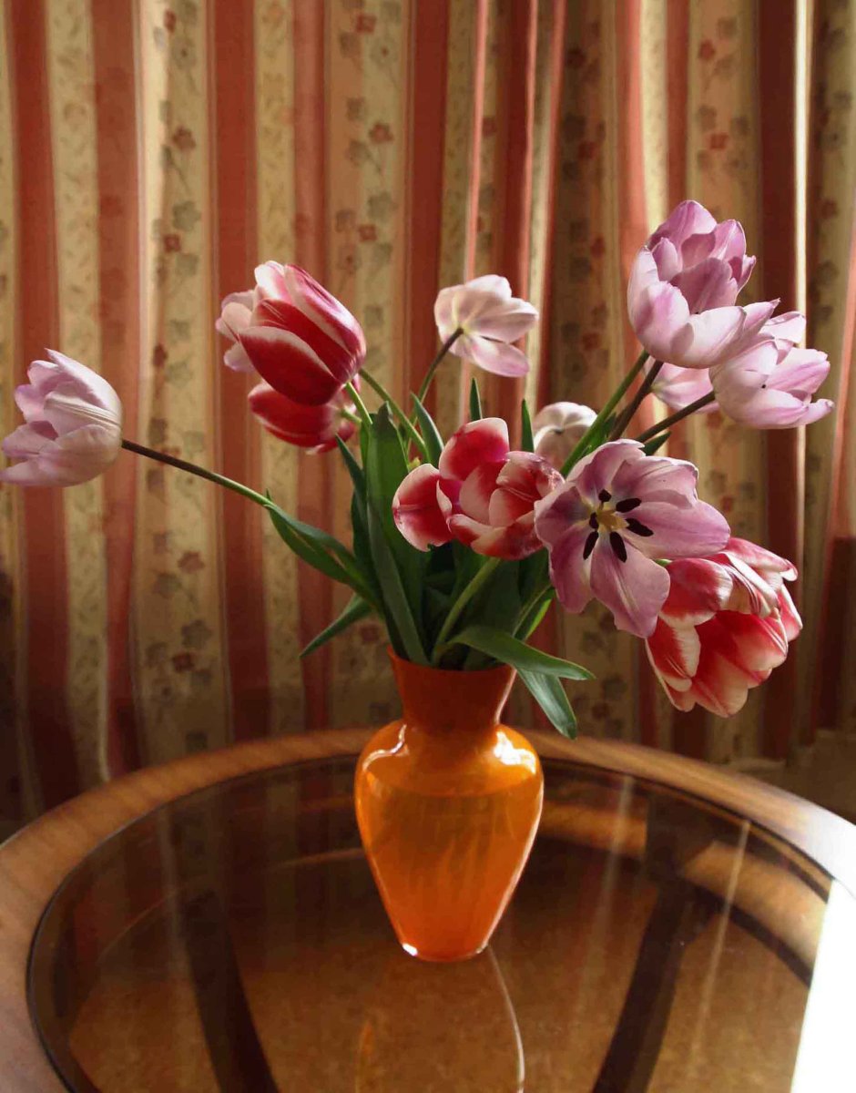 Тюльпаны в домашней обстановке