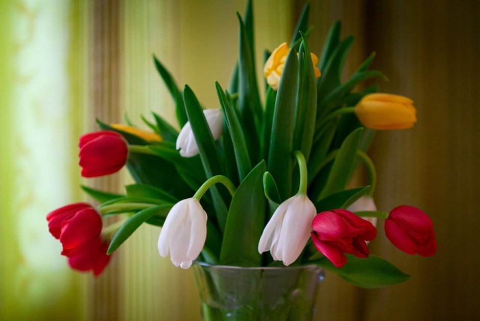 Тюльпаны дачные в вазе