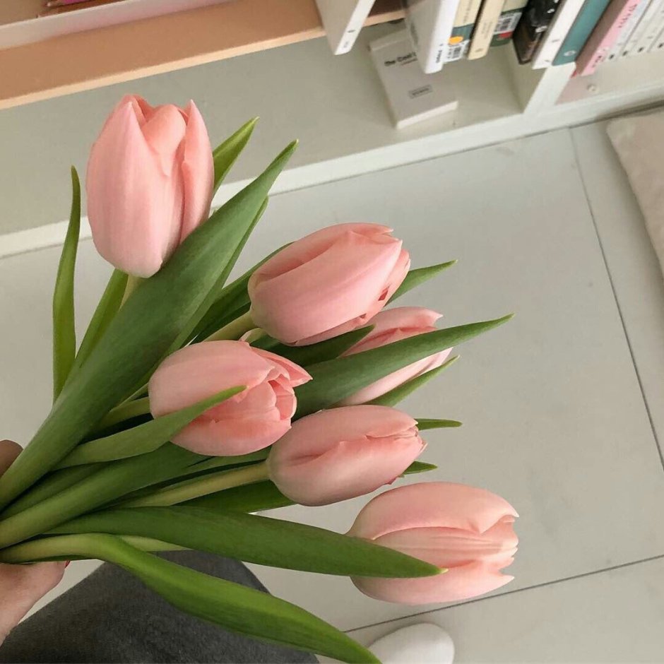 Большой букет тюльпанов в руках