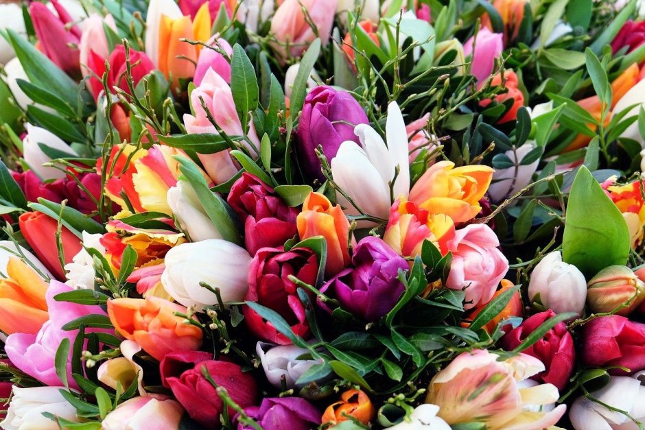 Букет тюльпанов на 8 марта