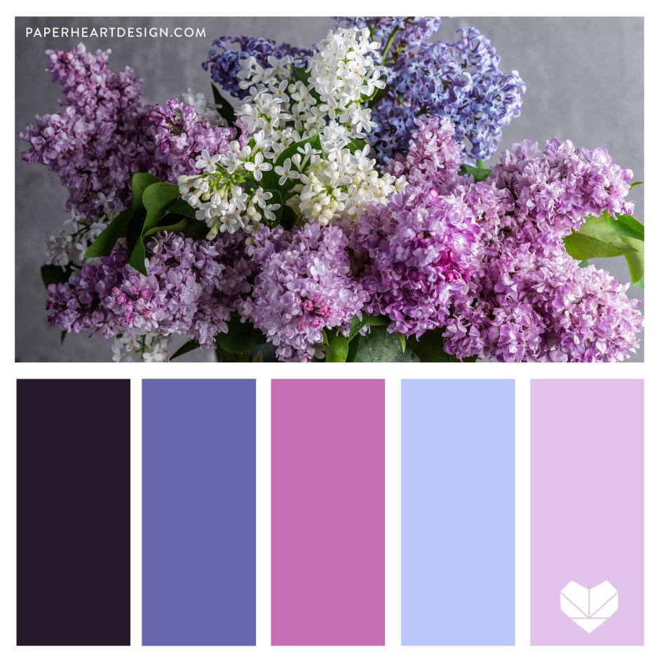 Палитра цветов фиолетовый