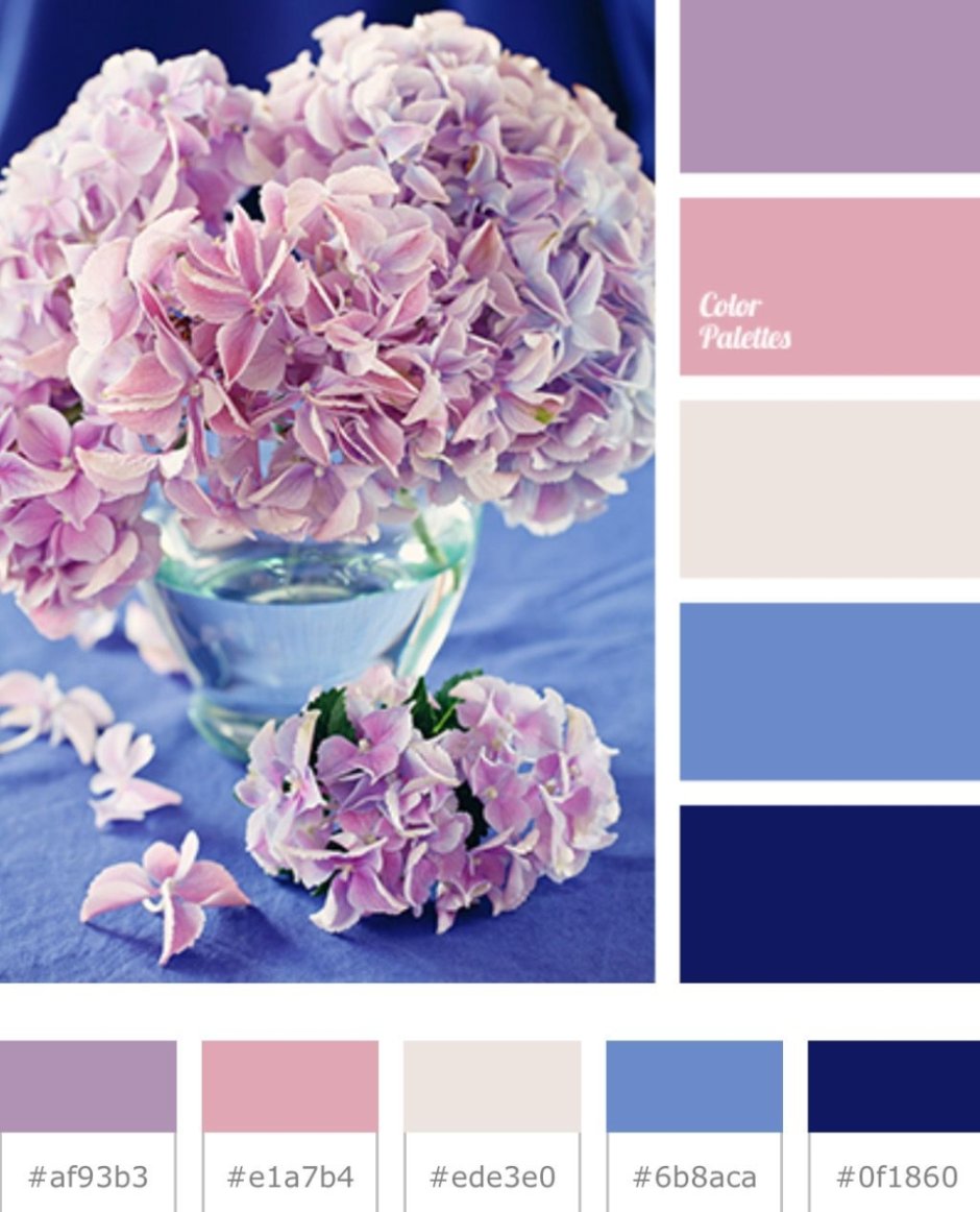 Сочетание цветов пудровый и голубой