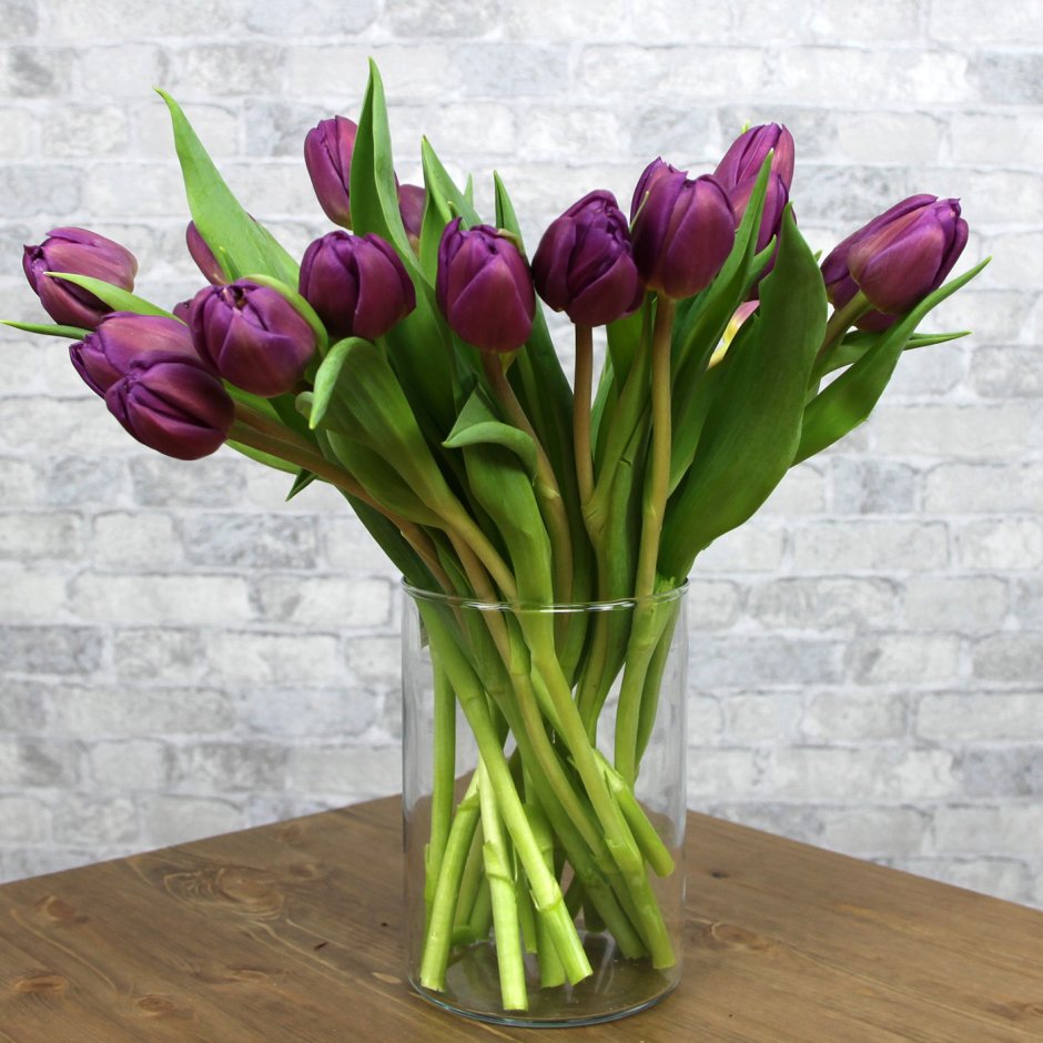 Тюльпаны срезка Purple Prince