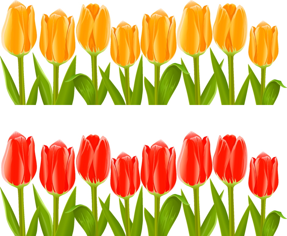 Тюльпаны для вырезания цветные