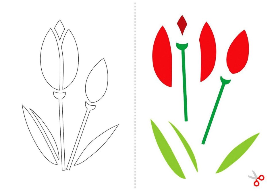 Тюльпаны картинка для детей шаблон цветной