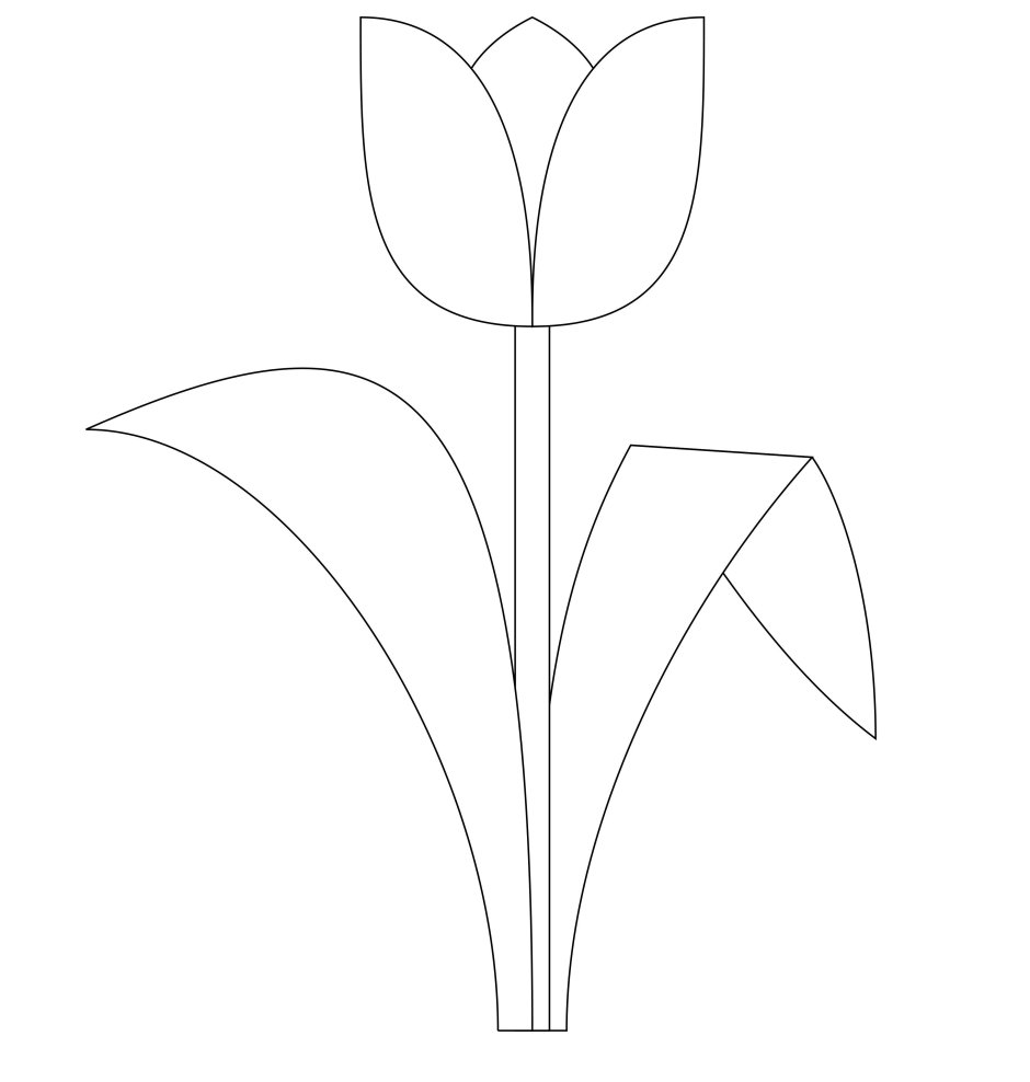 Объемные тюльпаны