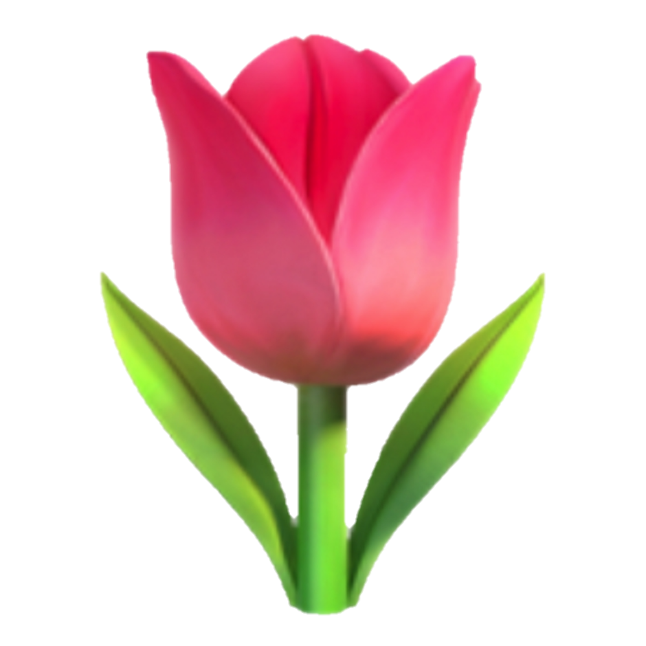 Модель цветка тюльпана