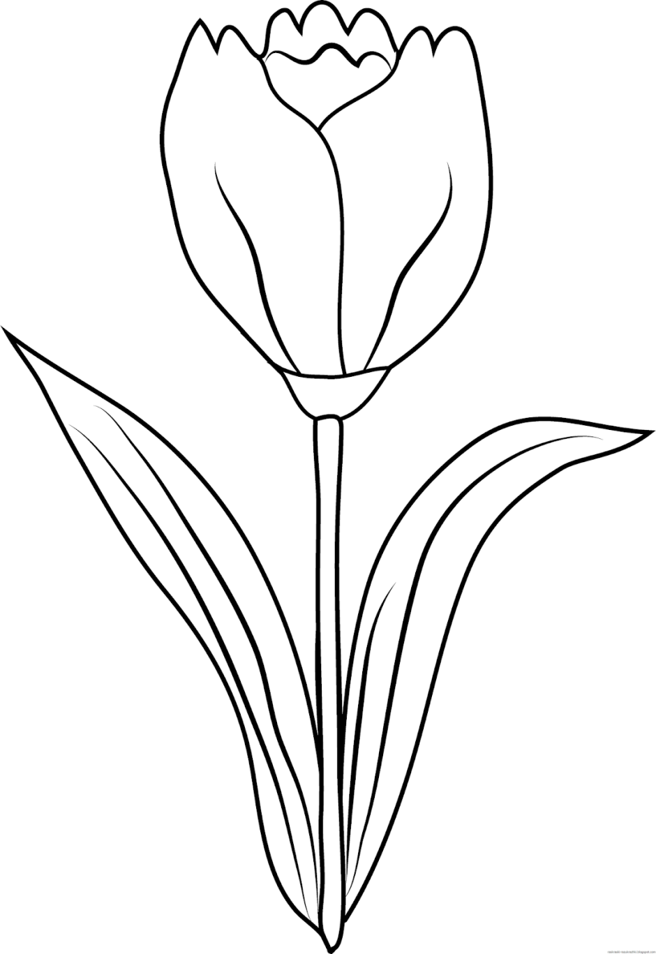 Модель с тюльпанами