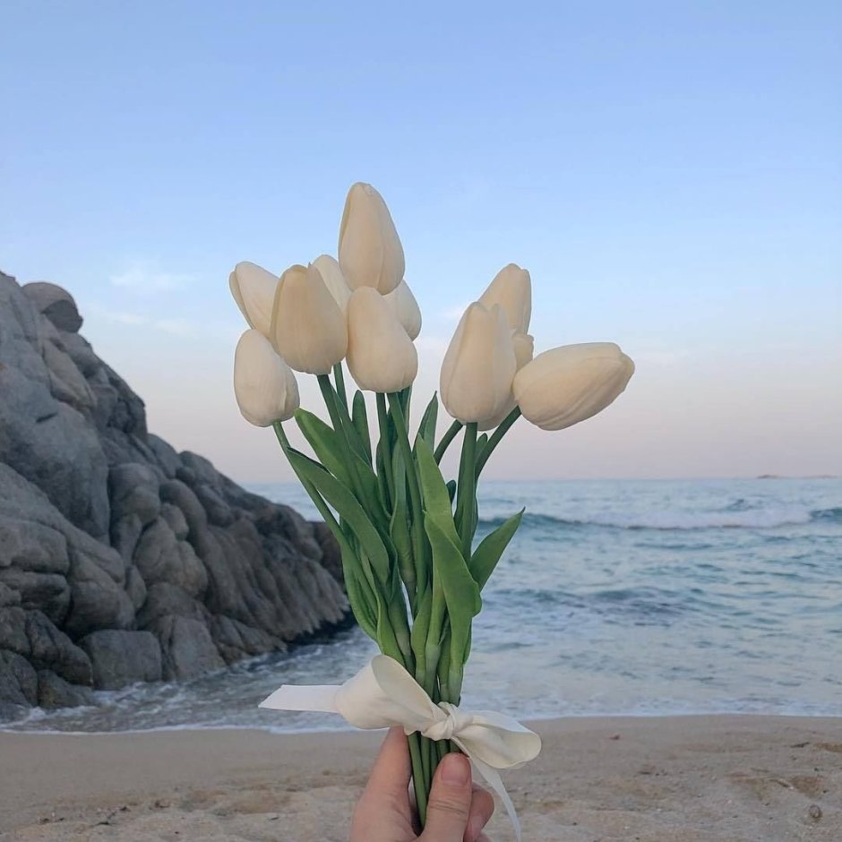 Белые тюльпаны Эстетика пинтереста