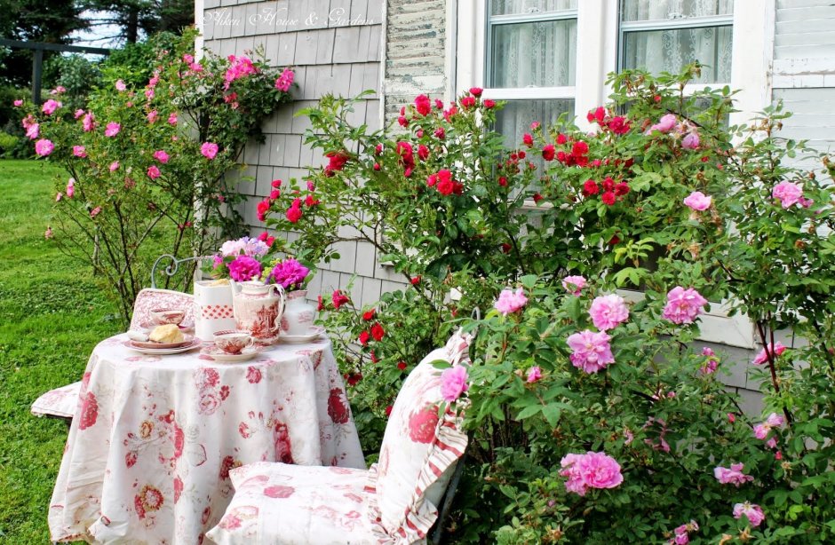 Домик с розами в саду