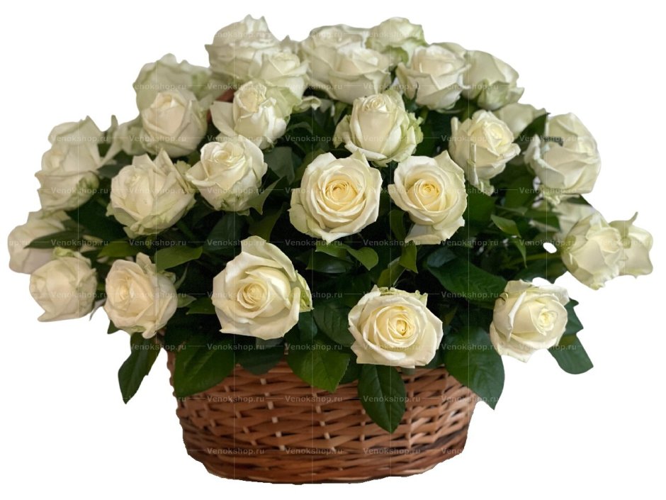 Букет из белых роз с днем рождения