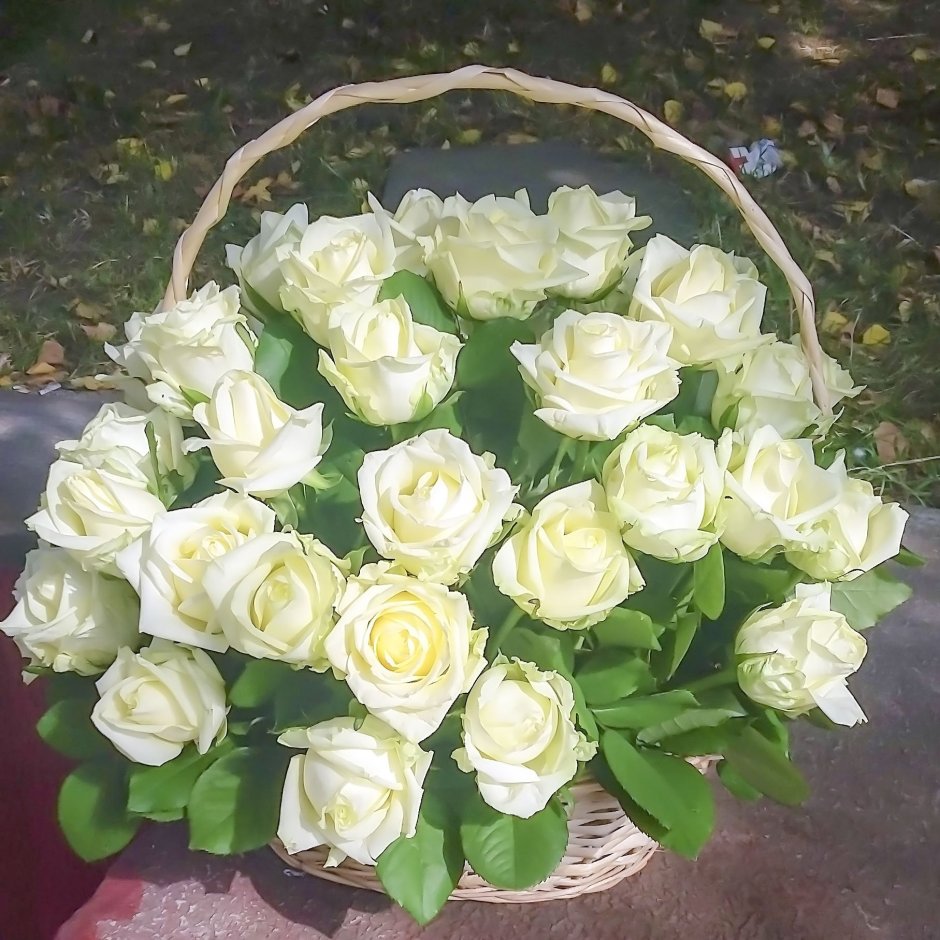 Белые розы в корзинке