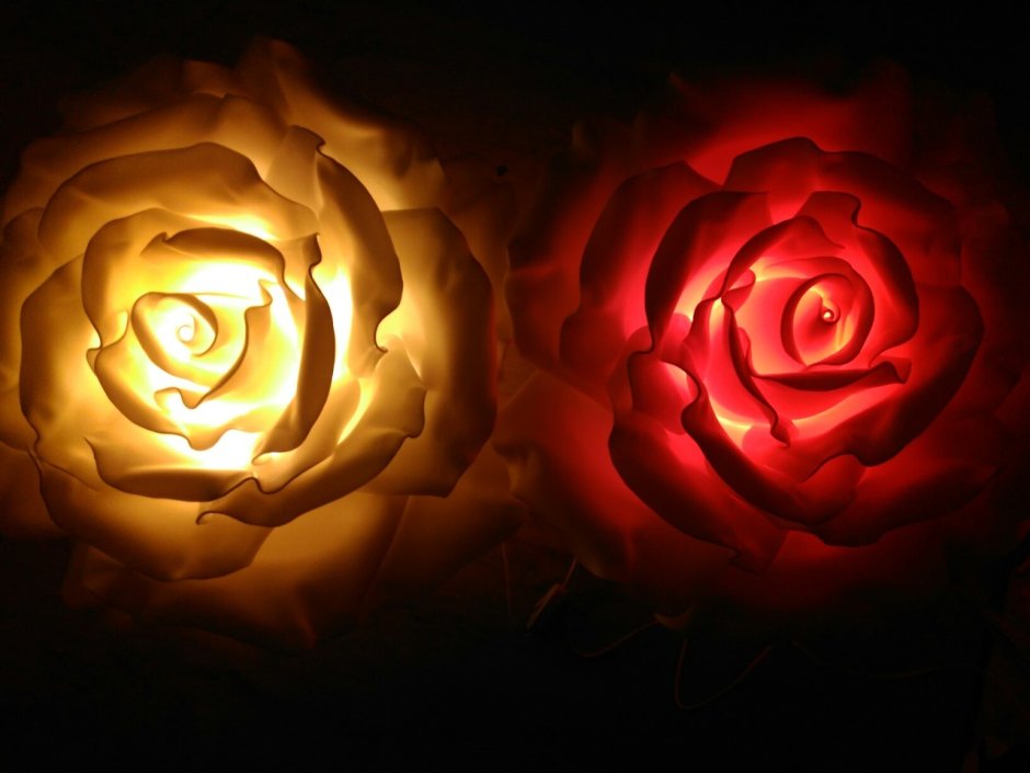 Настенный светильник роза