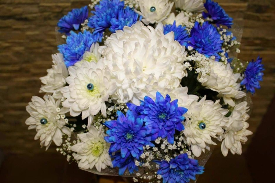 Синие одноголовые хризантемы