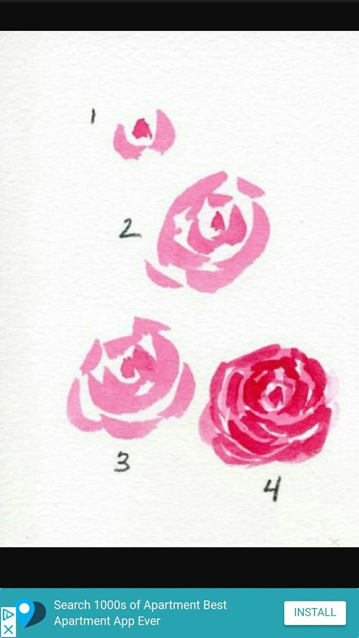 Розы рисунок красками для начинающих