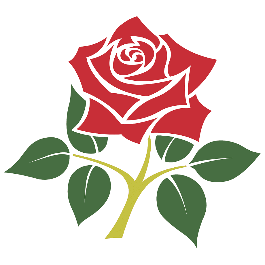 Символ Англии красная роза