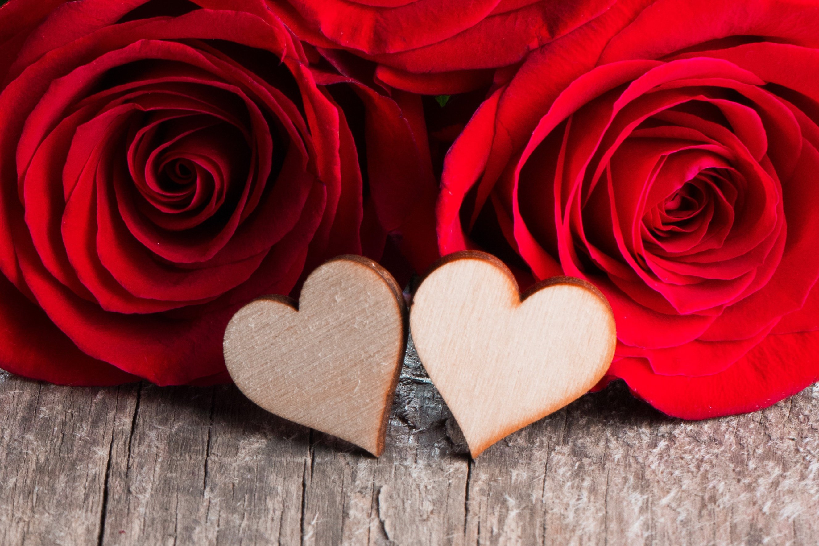 Rose romance. Романтические цветы. Цветы сердце. Красивое сердце. Сердечки цветочки.