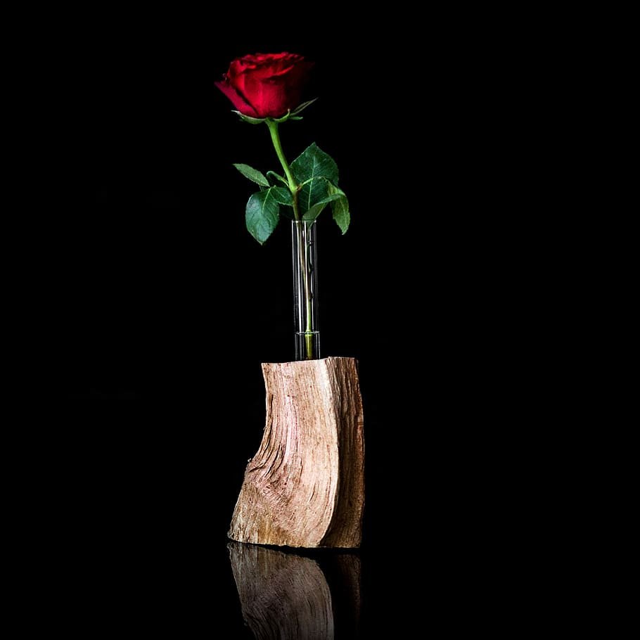 Розовые розы в вазе