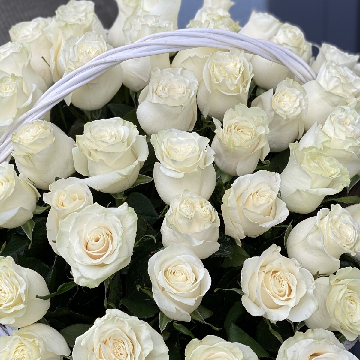 Сон белые розы букет. 75 Белых роз "Аваланж".