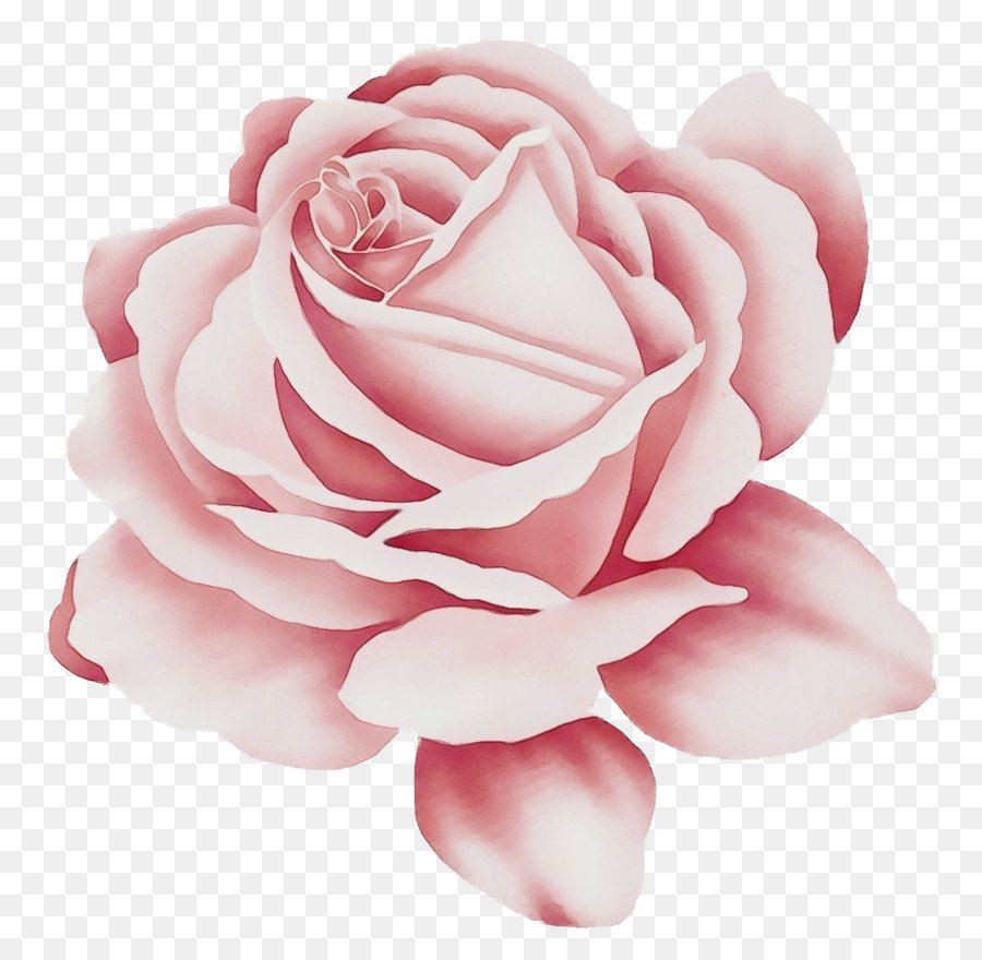 Роза розовая мультяшная