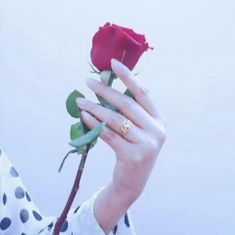 Девушка с розой в руках