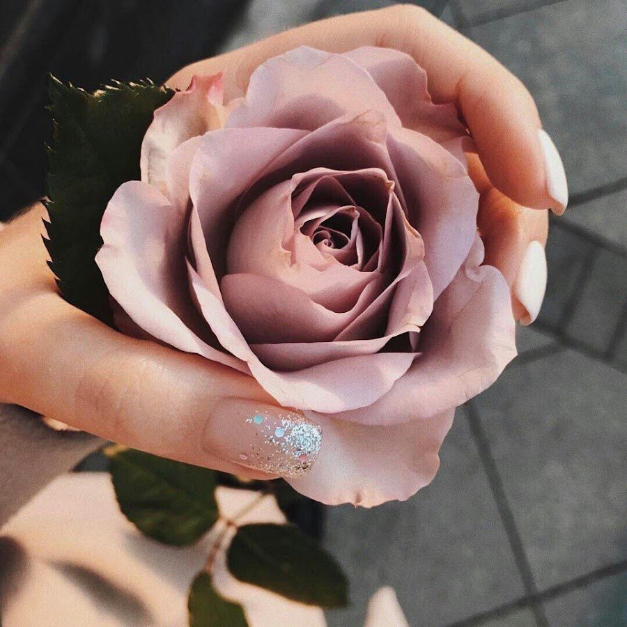 Букет роз Эстетика