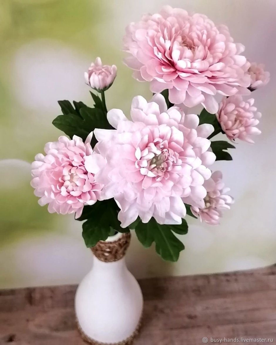 Веточку хризантемы цветок