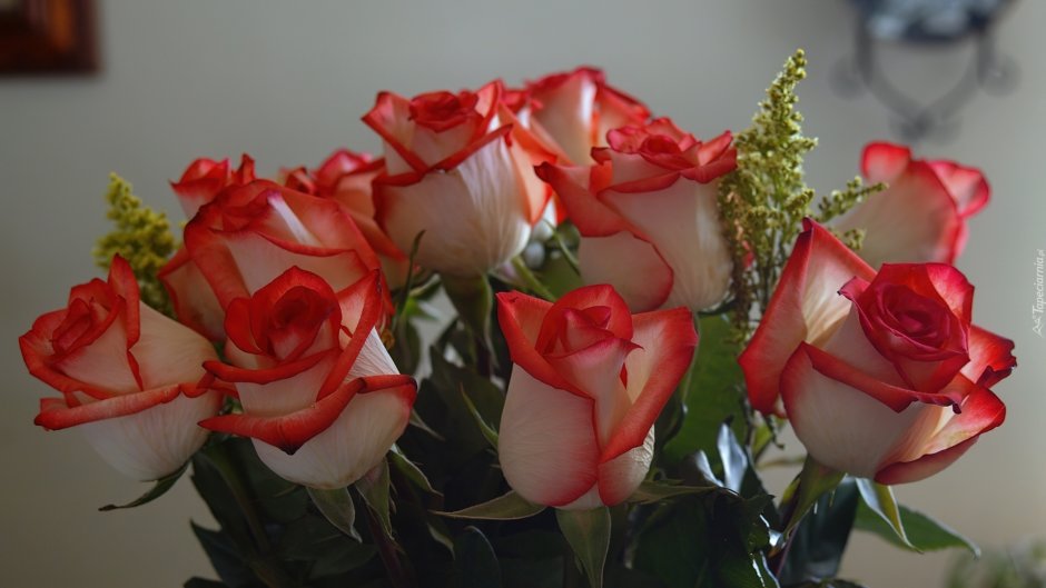 Белые розы с красной каймой в букете