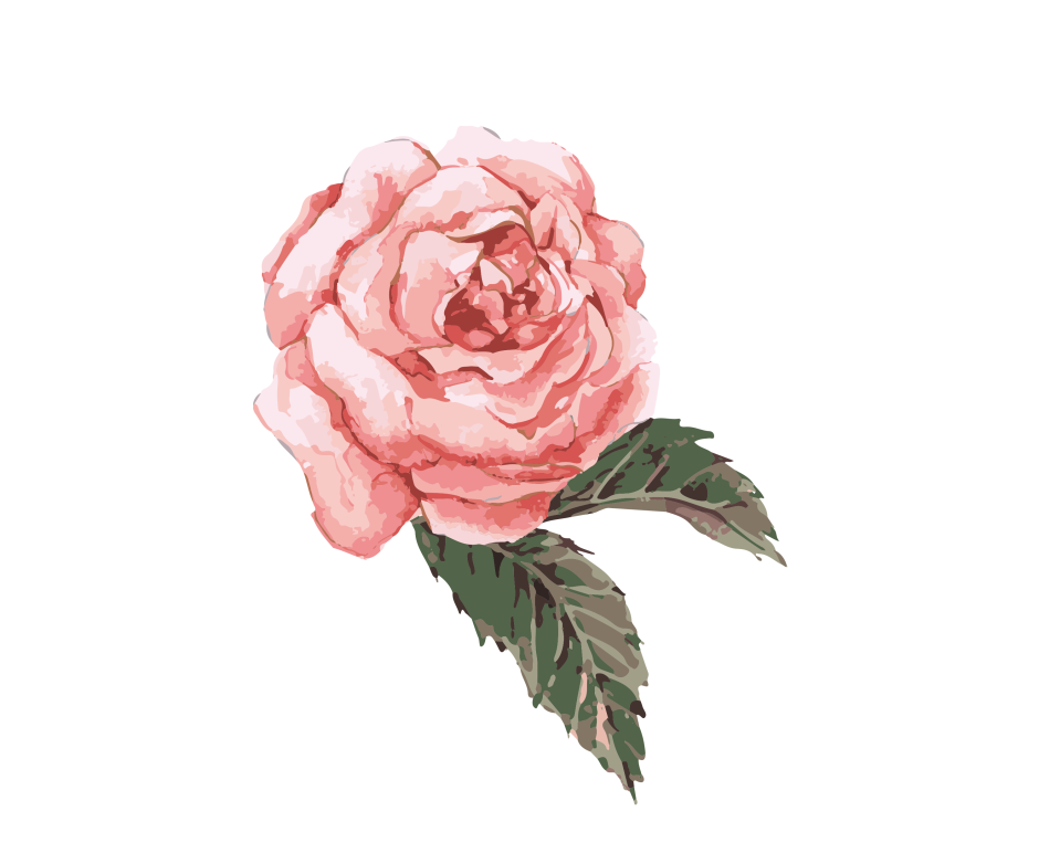 Роза акварель
