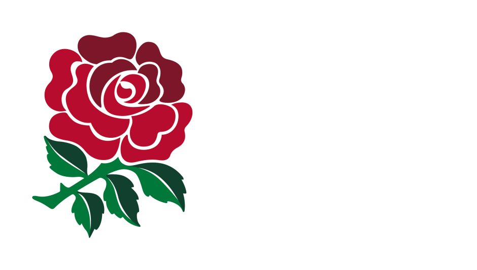 Эмблема Англии красная роза