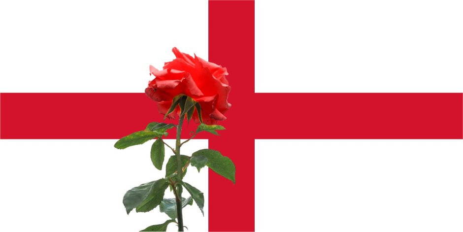 Роза символ Англии