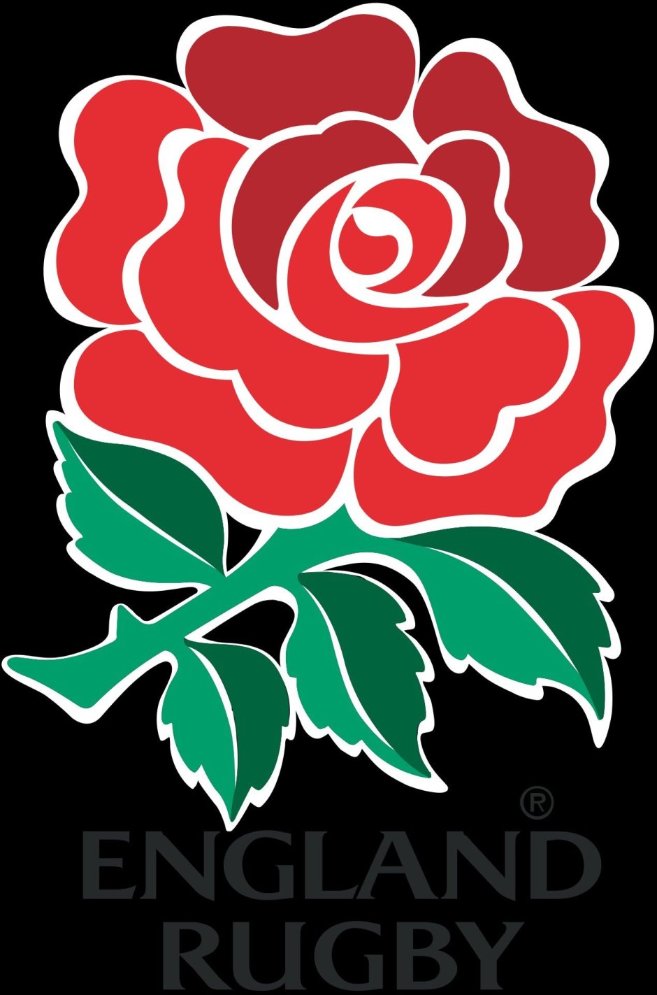 Английская роза регби