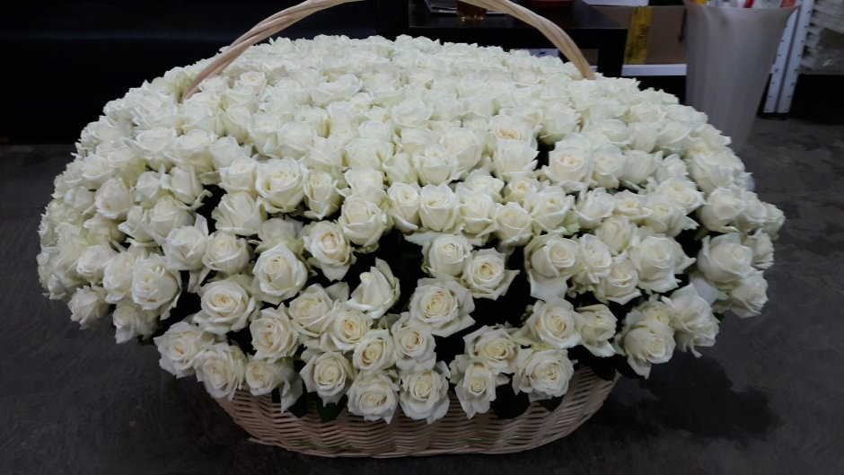 1000000 Белых роз