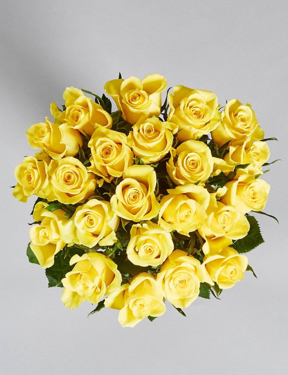 Желтые голландские розы