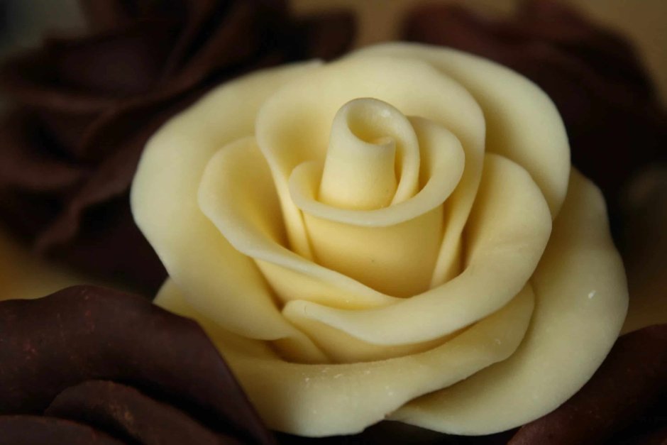 Белый шоколад White Chocolate роза