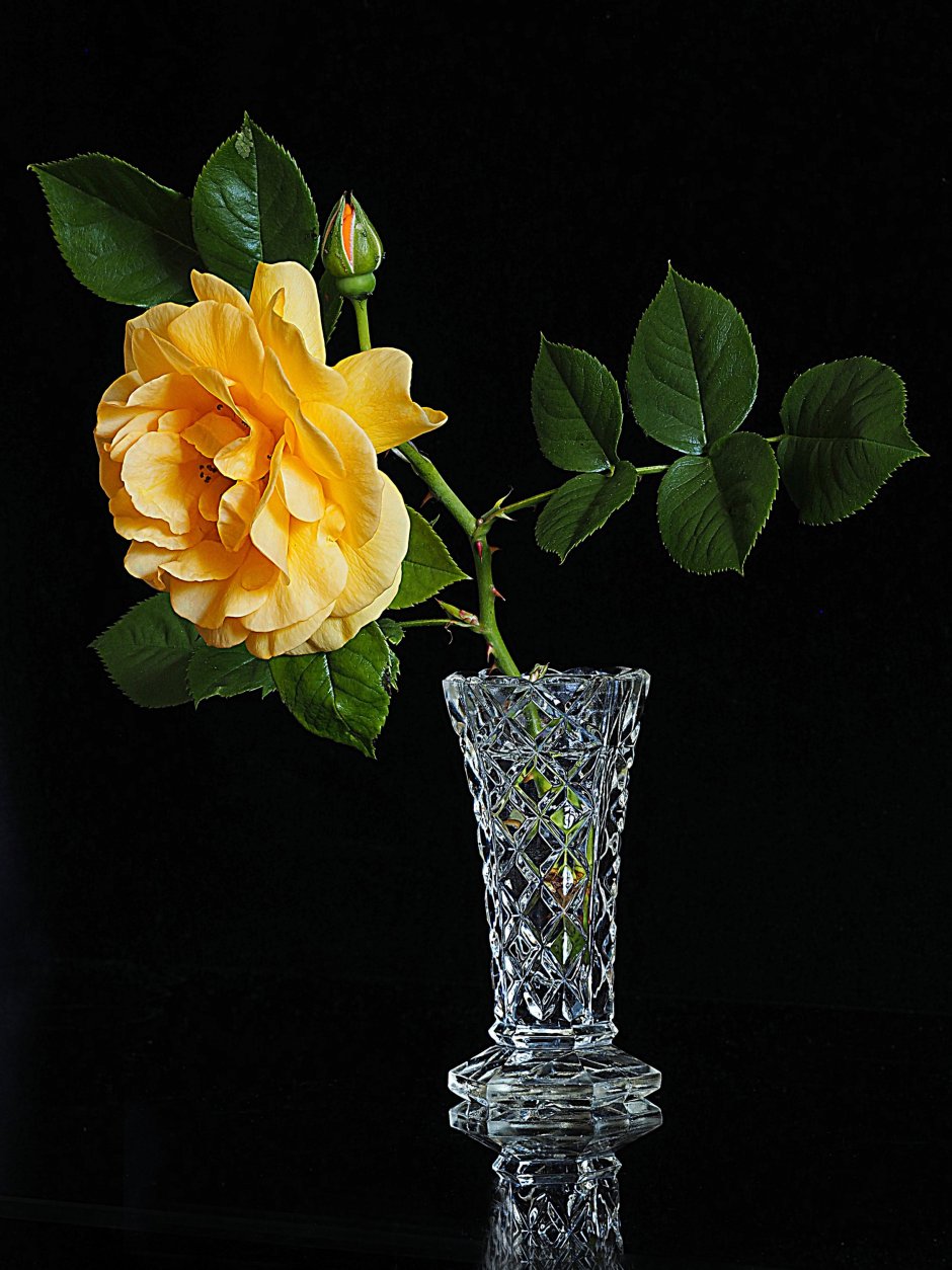 Цветок в кристальной вазе