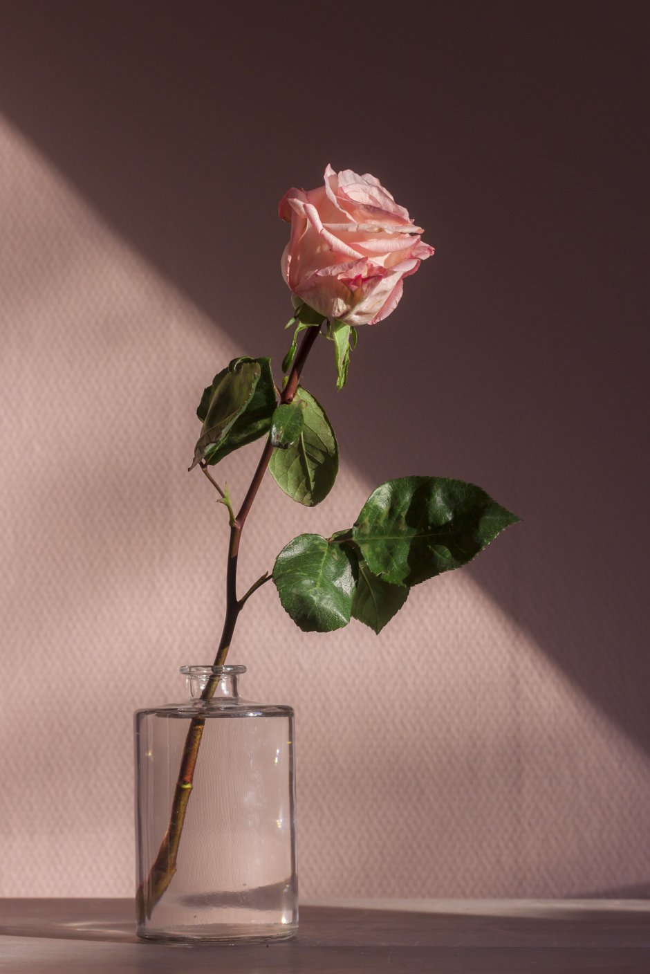 Одинокая роза в вазе