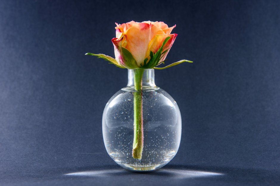 Розы в стеклянной вазе вода