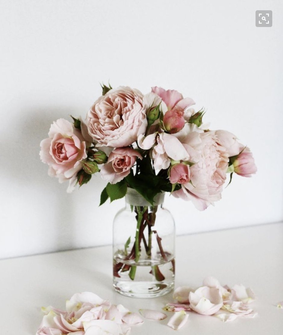 Цветы в вазе на столе Эстетика