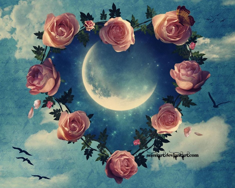 Цветы красивый на фоне Луны