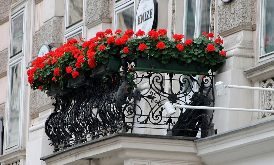 Французский балкон с цветами