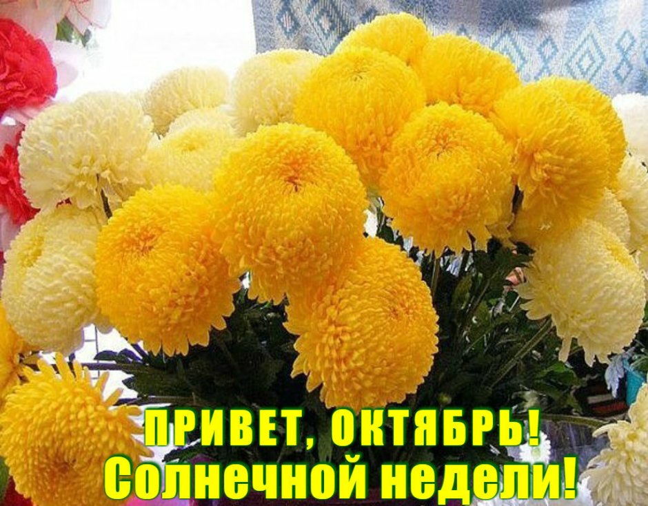 Желтые шарообразные цветы