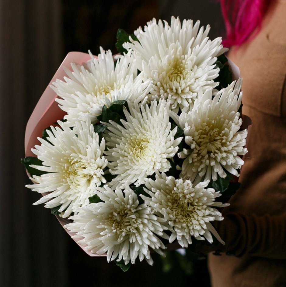 7 Одноголовых белых хризантем