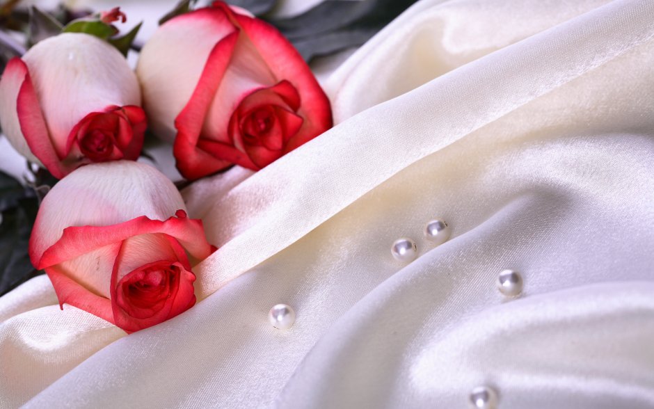 Розы на шелковой ткани