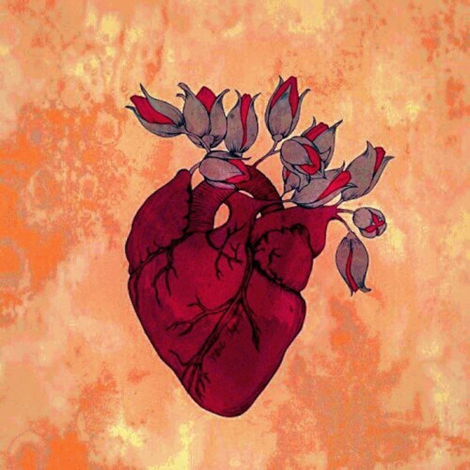 Человеческое сердце в цветах